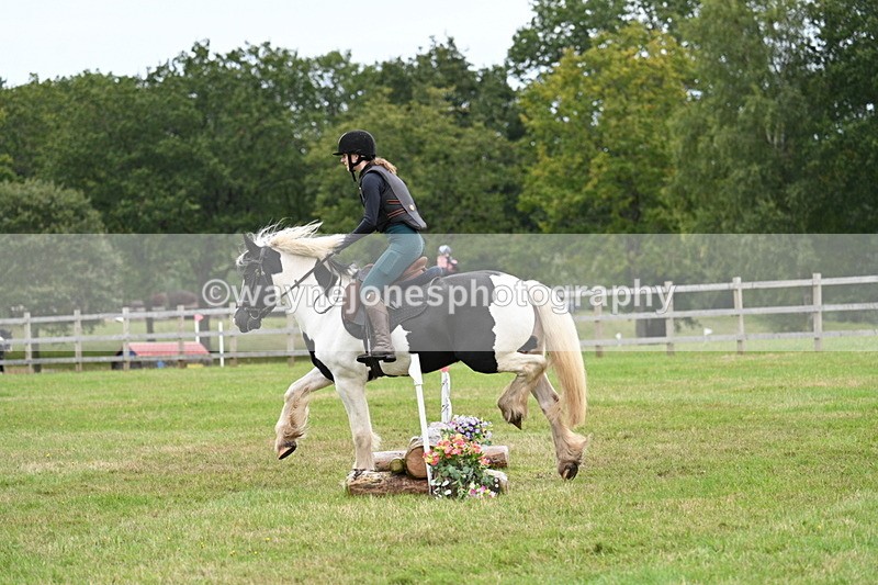 WJ7_7765 - 40cm Time 10:49 to 11:18