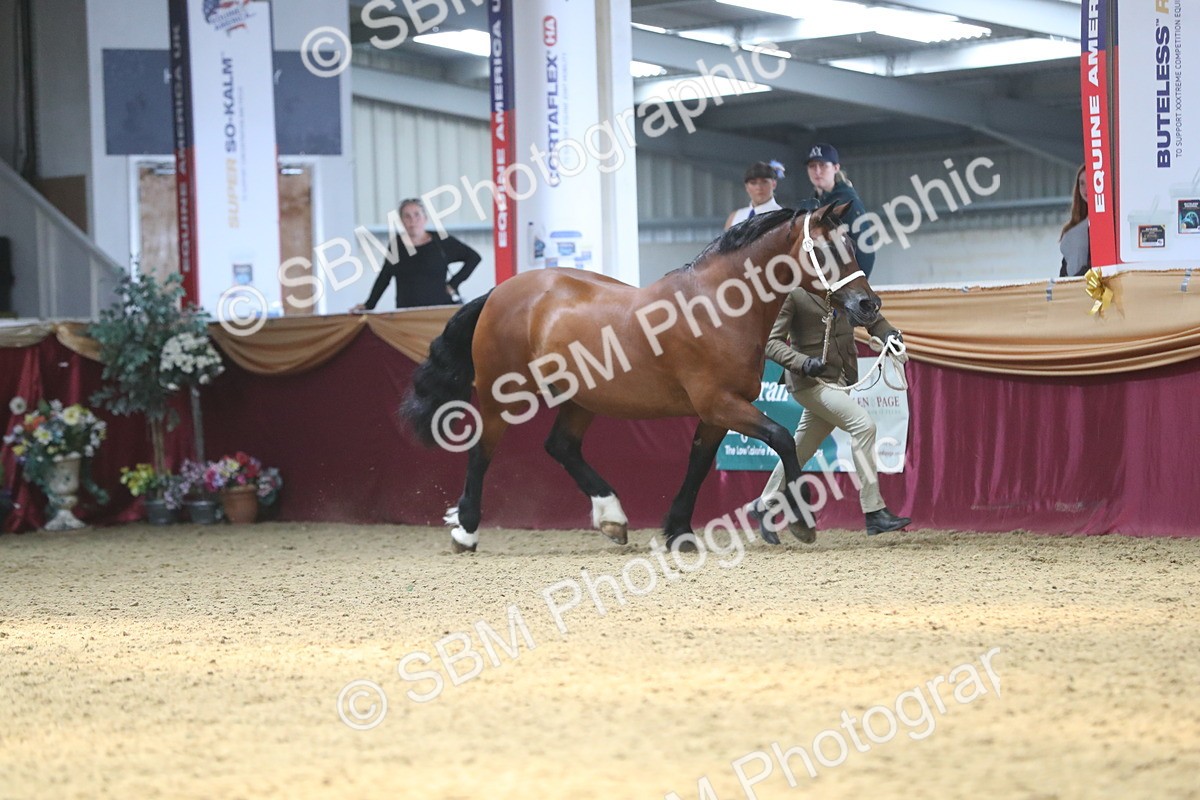 SBM_15195 - Class 501 M&M IH Supreme Final