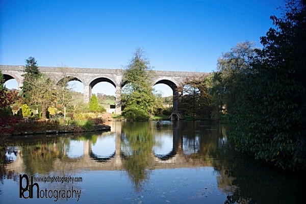 Kilver-Gardens SM-1_4034 - Mendips
