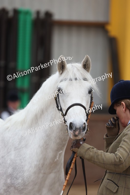 20251109-0931 - Class 26 - 2 and 4 Year Olds