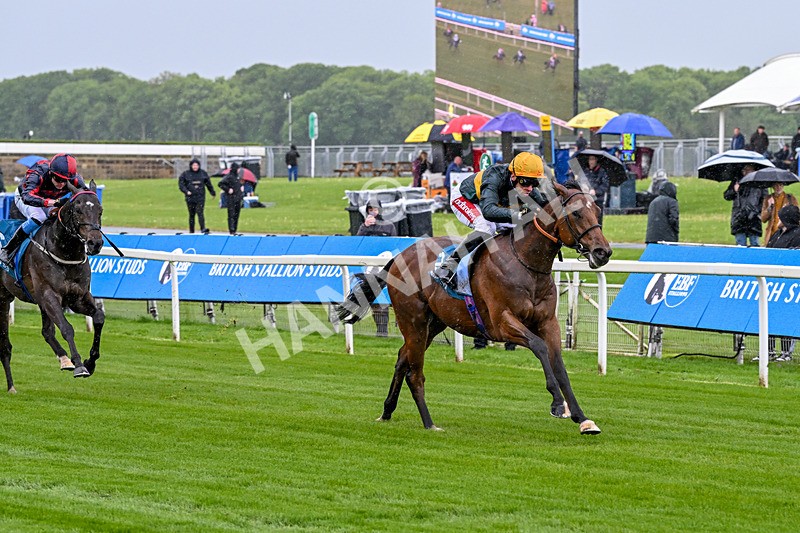 130526-Race 1-Cut A Dash-1976 - Race 1 1.45pm British Stallion Studs EBF Novice Stakes