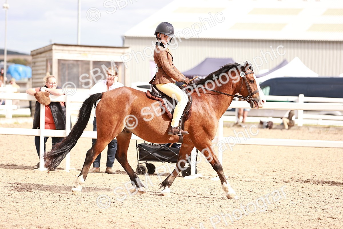 SBM_18368 - Class 418 - Best Condition - Jnr