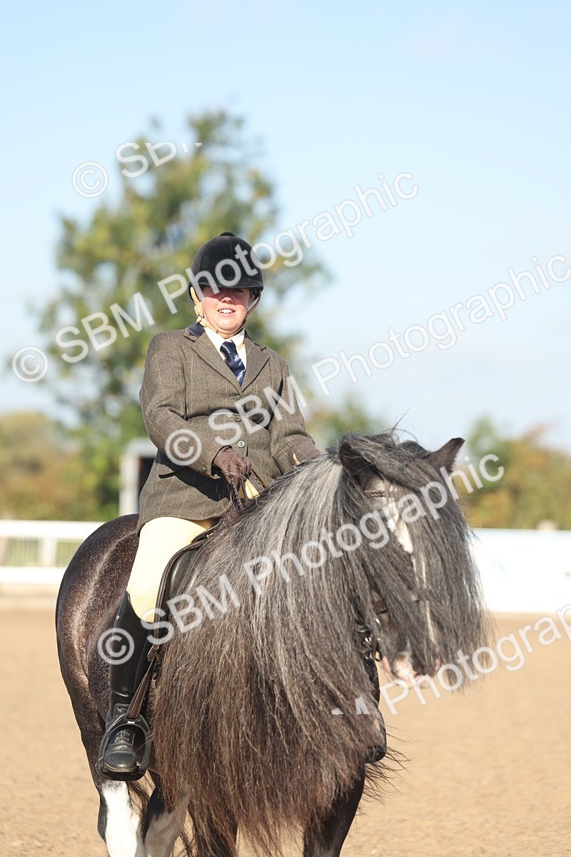SBM_22232 - Class 802 - Ridden Groom Helpers Class
