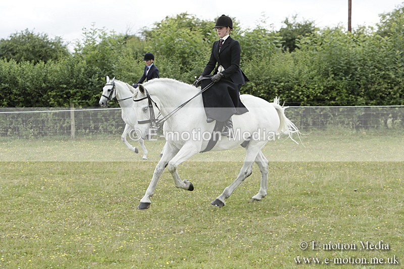 BVR160717-2375 - Side Saddle Classes 16/07/17