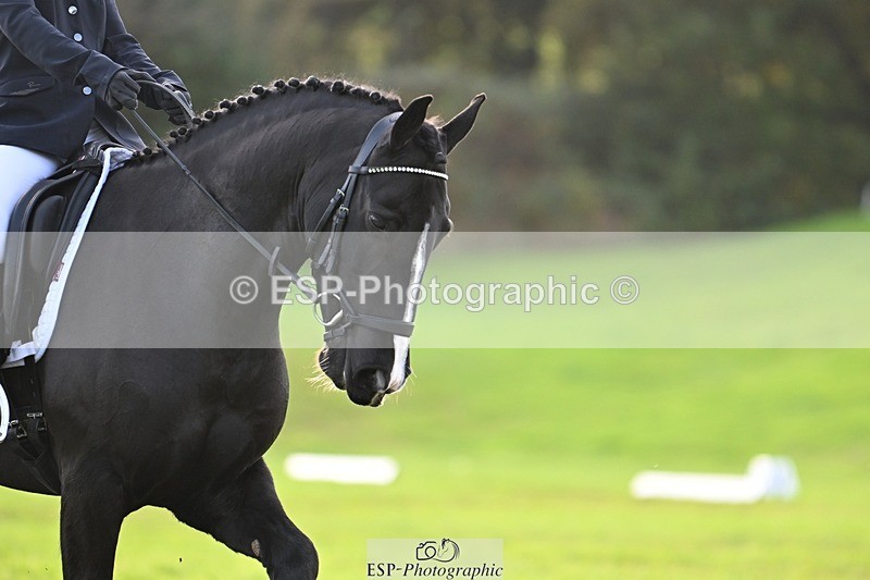 241025-141922-09994 - 452-Eleanor.Blewitt-CARRY.ON.PRINCESS