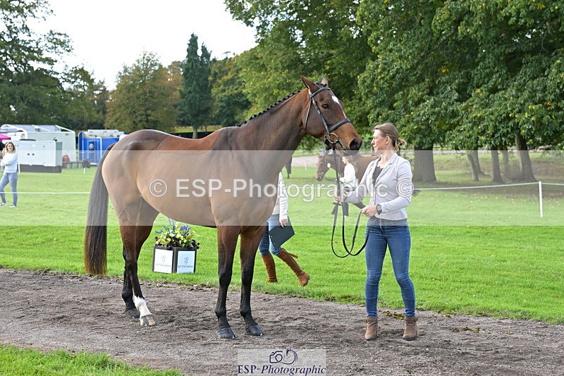 241023-131421-00148 - 009-Louisa.Lockwood-GRANTSTOWN.AMADEUS