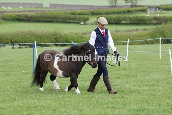 MB_56317 - MBRC In Hand Ring May 2015