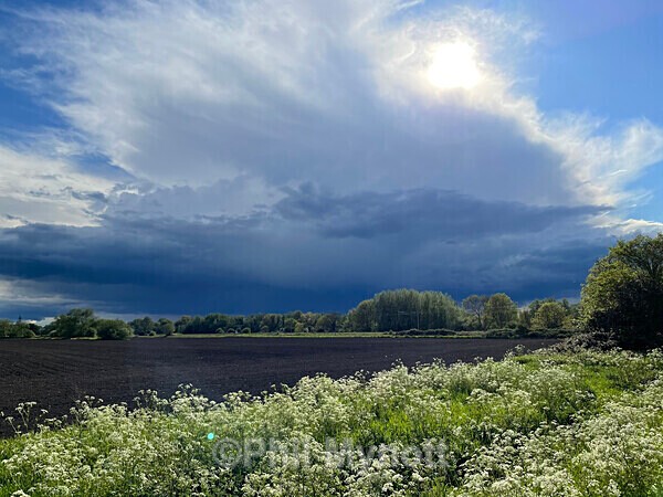 PhotoMynottART074 - Photo Mynott ART Images