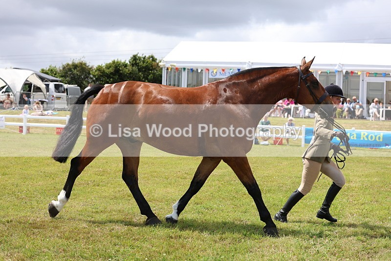 3E7A2249 - Class 10: Open Cob