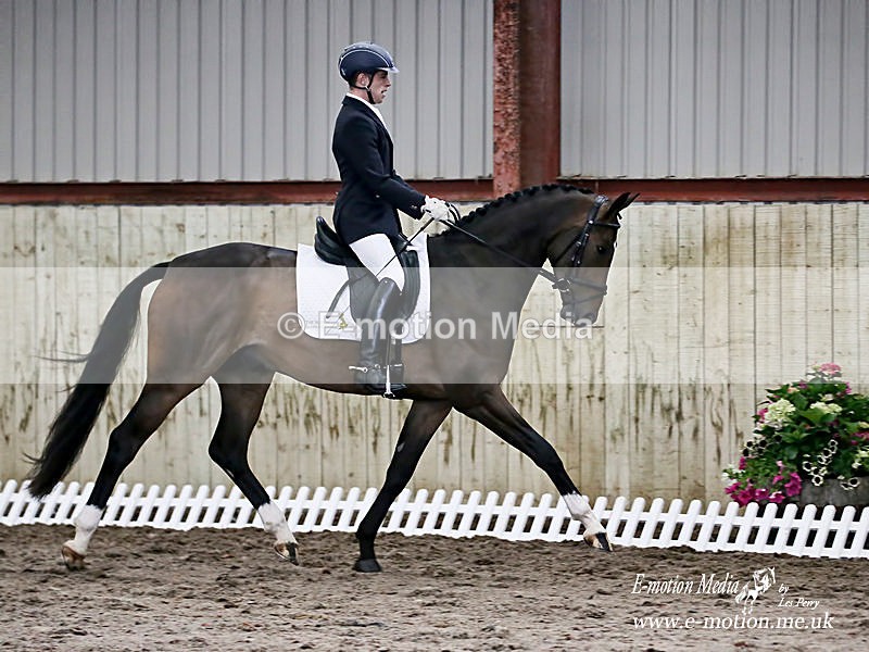 Badminton 130716 110po - Equestrian