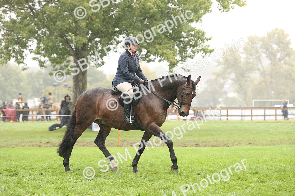 SBM_72899 - Ridden Horse Supreme Championship
