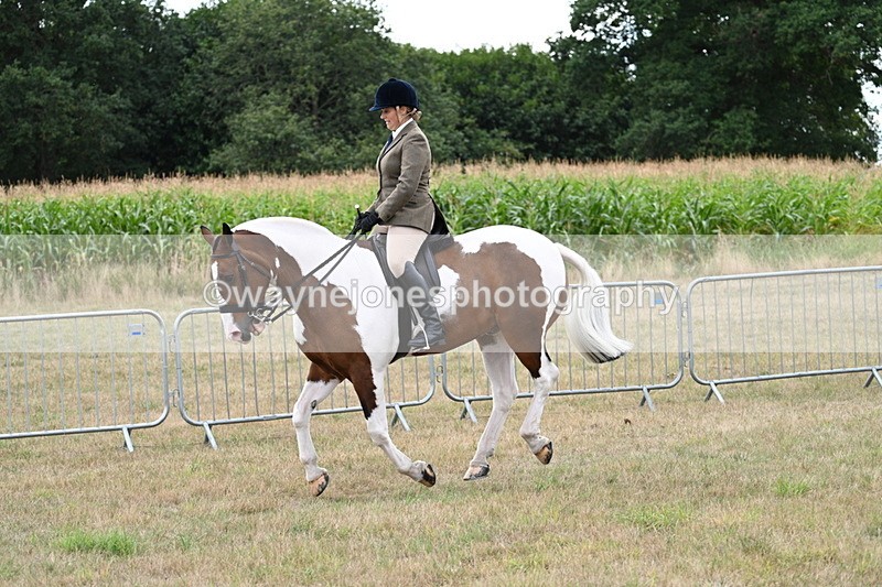 WJ7_5097 - Class 12 Ridden Cob
