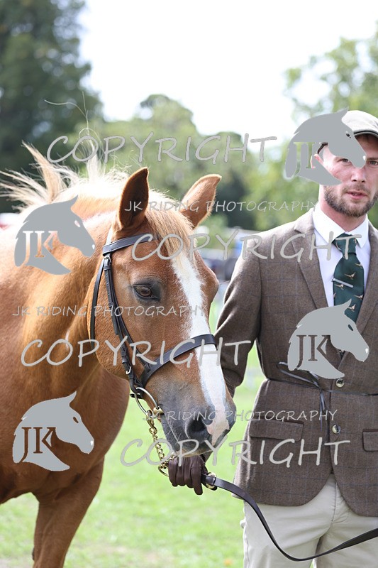 APP_2933 - Class 10a/b M&M in hand