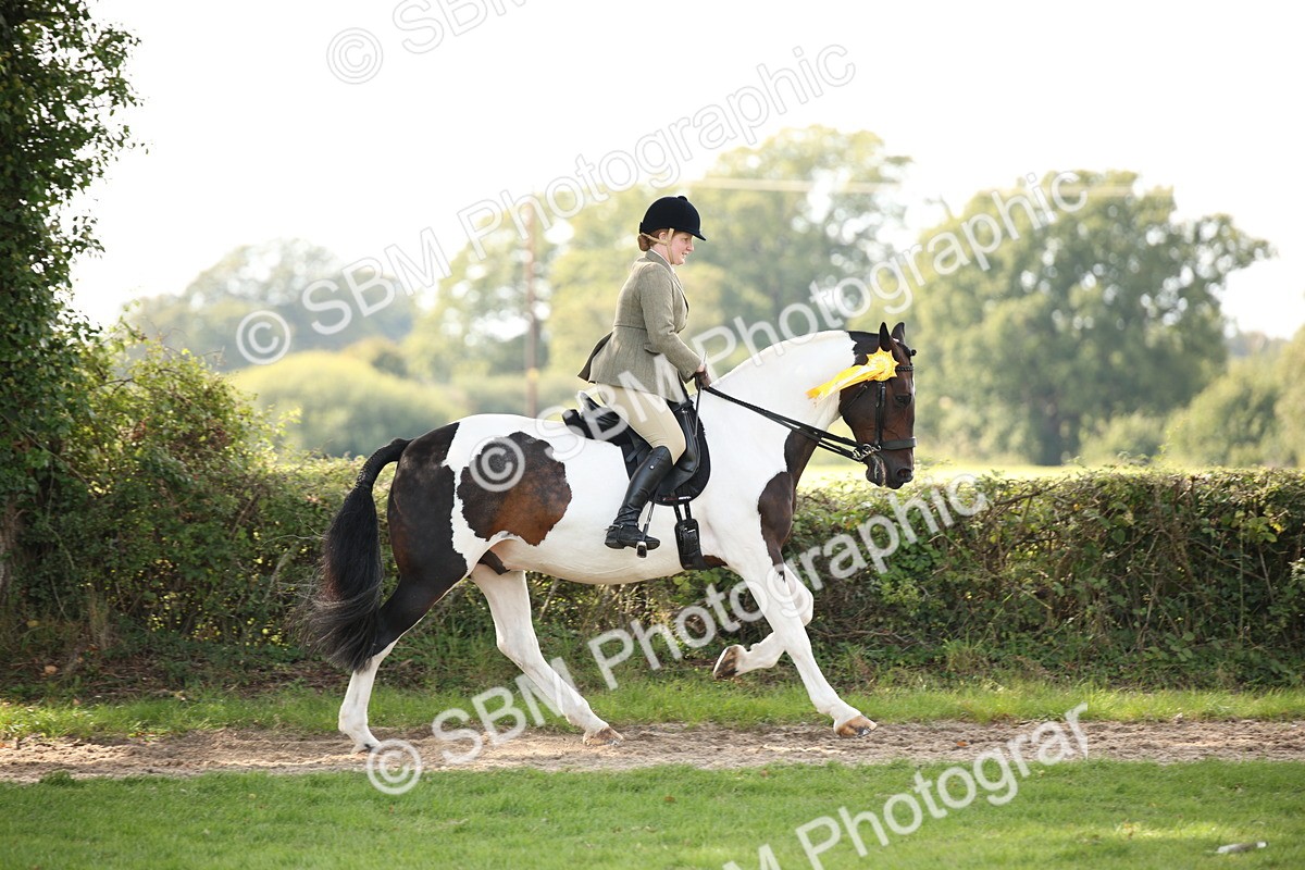 SBM_70163 - S65 - Piebald & Skewbald Horse Ridden