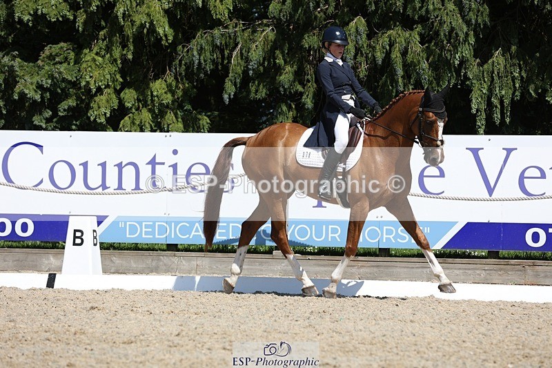 230526-150841-06639 - 378-CLASS_SPEC-Susie_Eddis-WEDTrotUp+DR