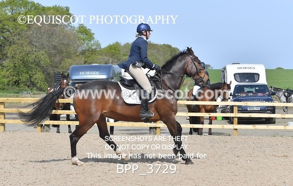 BPP_3729 - CLASS 2 Club/ Unaffiliated 80cms Open