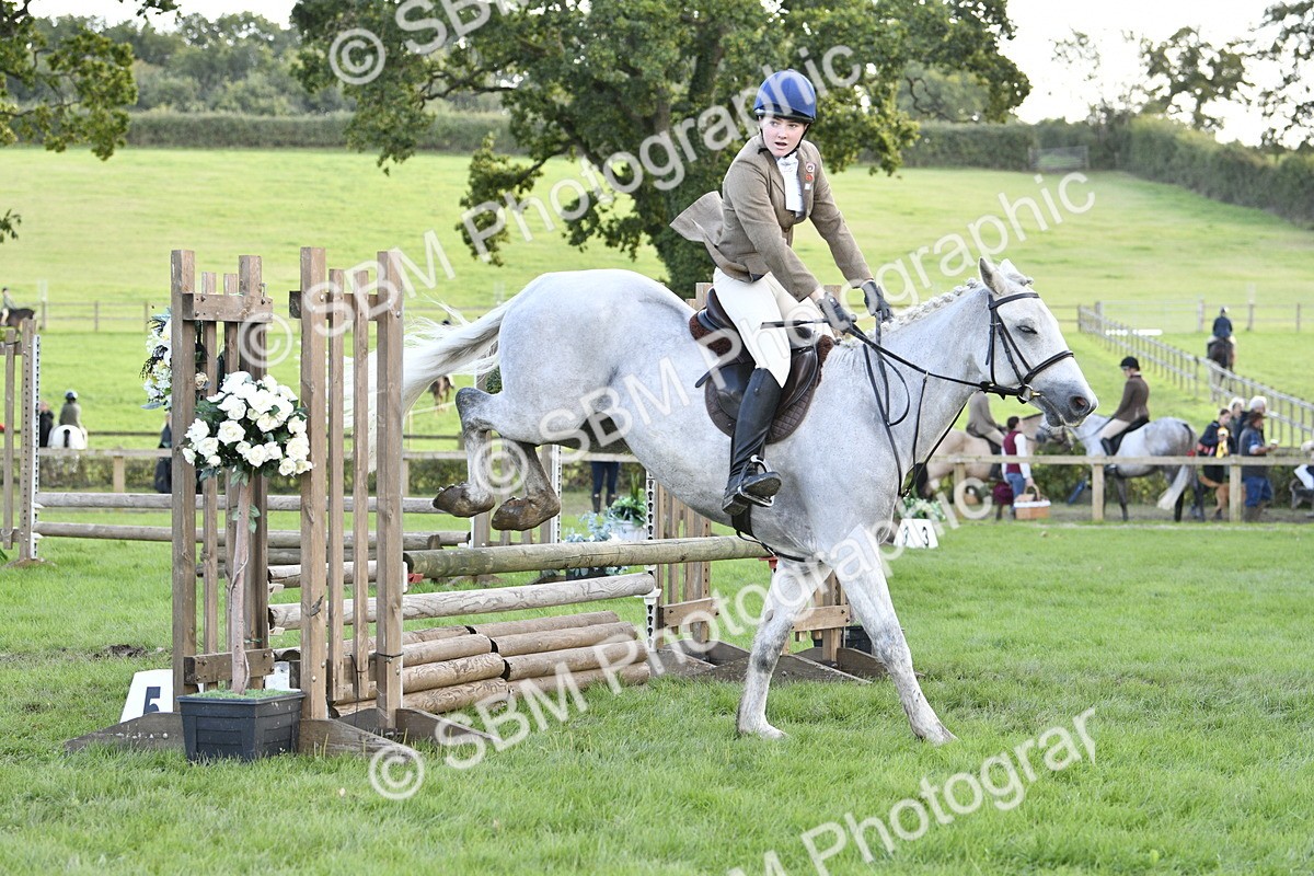 SBM_52146 - S35 - Working Hunter & Working Show Horse