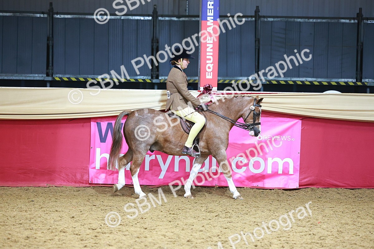 SBM_12381 - Class 103 - HOYS Veteran Qualifier - Ridden Pre Vet