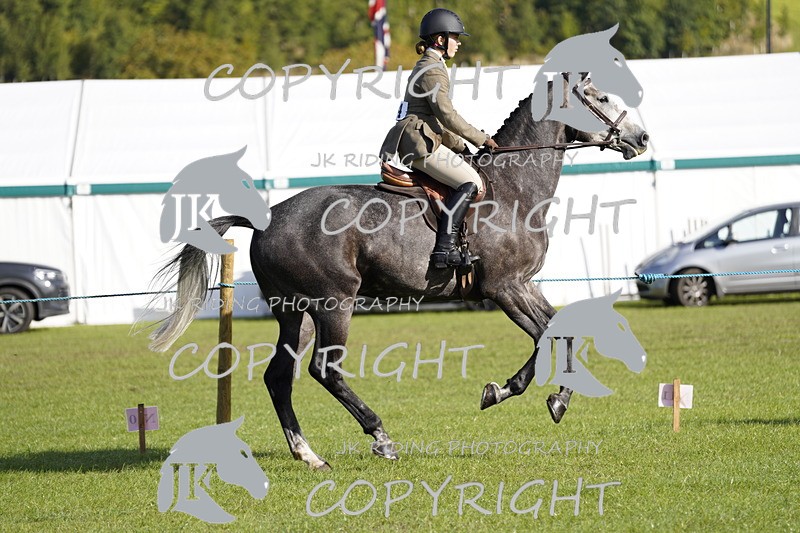 _DSC9612 - Class 8 & 17 Ridden Hunter & Ridden Hunter Pony