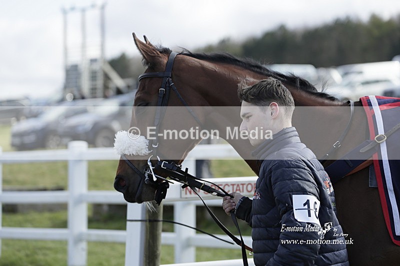 PtP 260223 343 - South & West Wilts Point-to-Point Larkhill 26/02/23