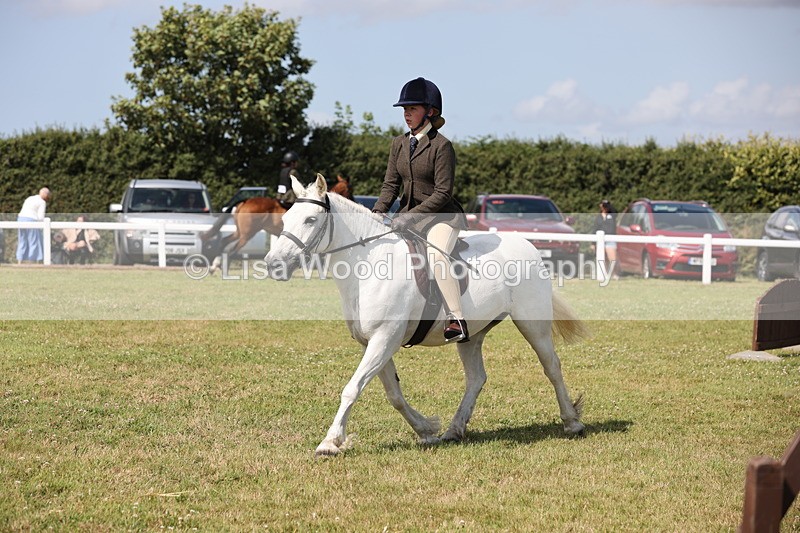 JPP_2311 - Class 19: Working Hunter 60cm