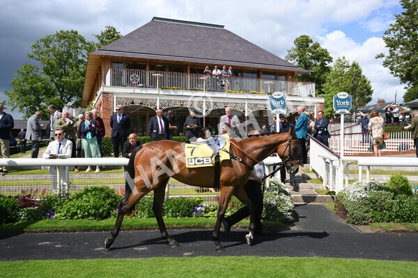 yr11062022r3-4 - Race 3 2.35pm The JCB Stakes