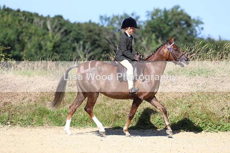 3E7A7882 - Class 14: Tack and Turnout