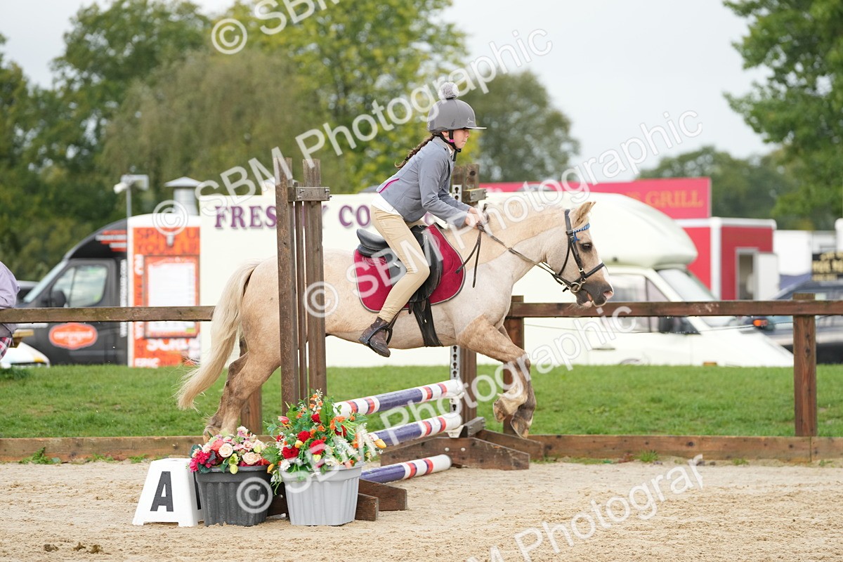SBM_32384 - J5 - Junior Pony 50cm Championship