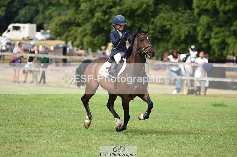 230617-100310-01765 - Cls 15 British Novice & 80cm Open