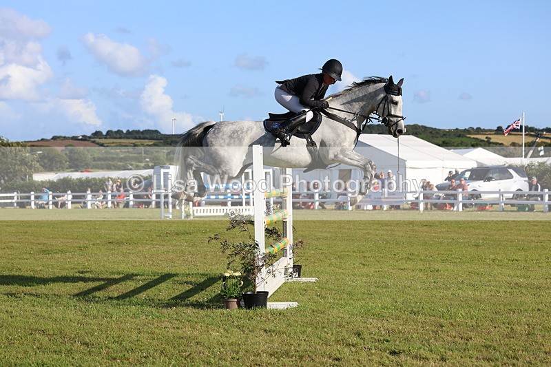 3E7A4493 - Class C: Showjumping Senior Foxhunter