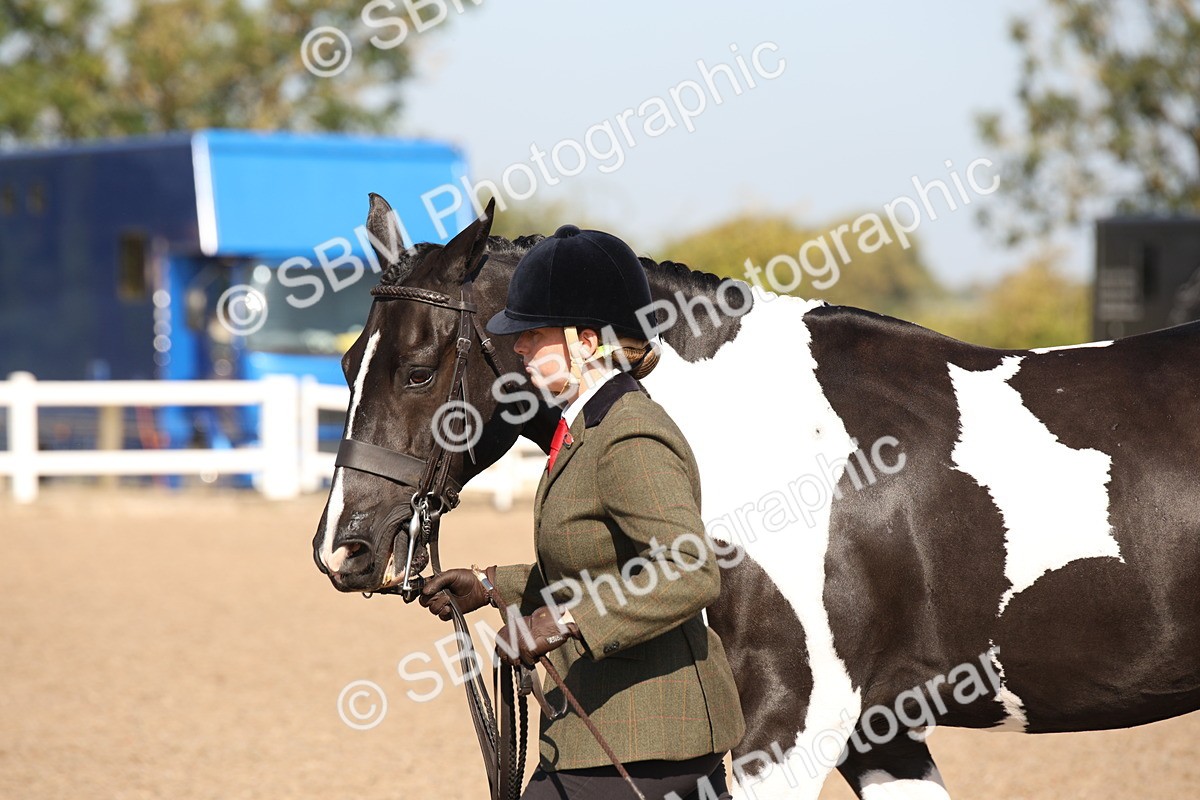 SBM_01508 - Class 15 IH Coloured