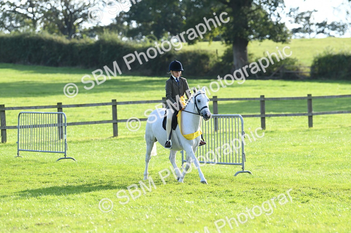 SBM_52457 - S22 - 1st Ridden Show & Show Hunter Pony
