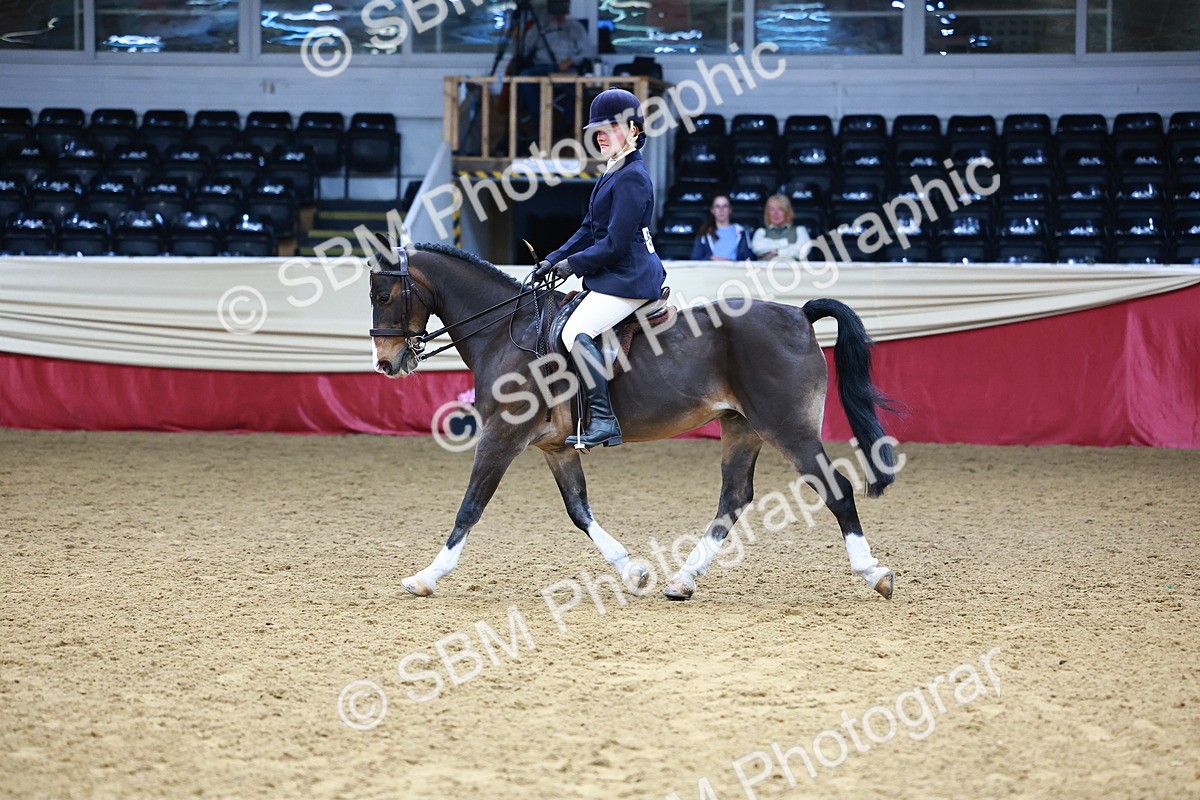 SBM_23461 - Class 904 - Supreme Final - Ridden Diamond