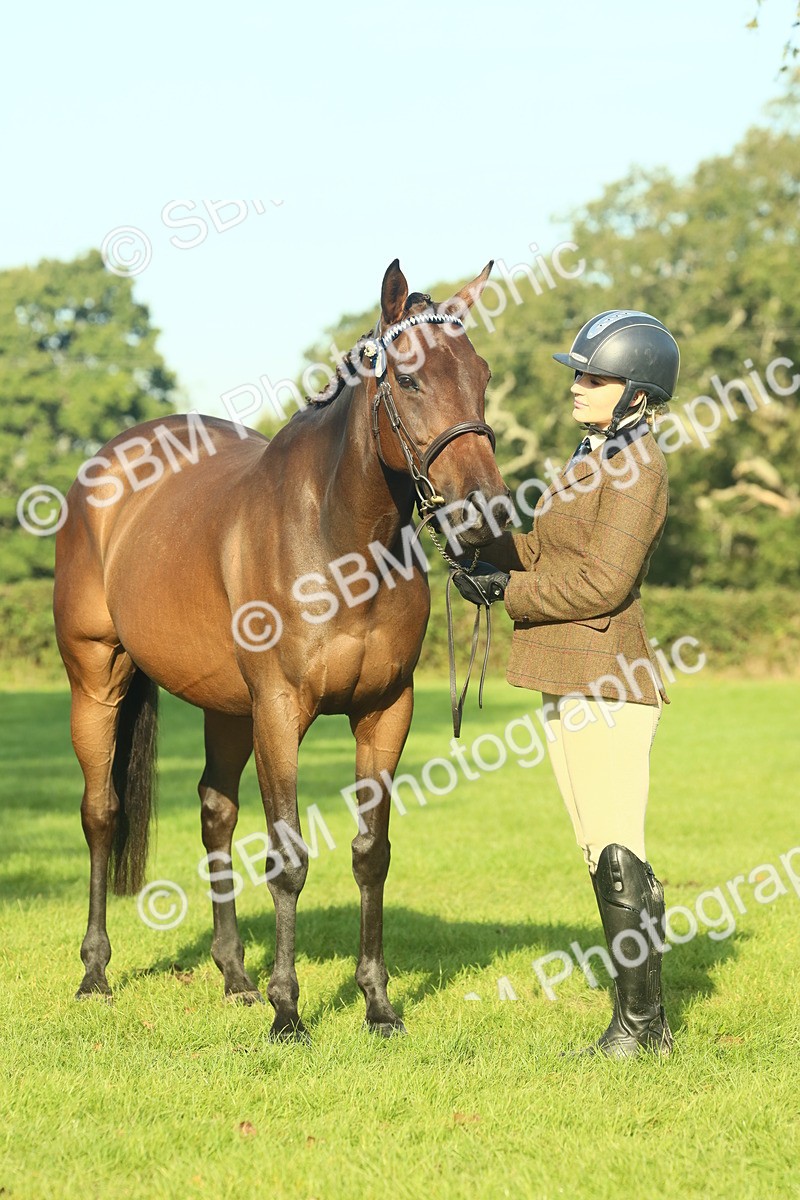 SBM_58589 - S37 - Starters In Hand Showing