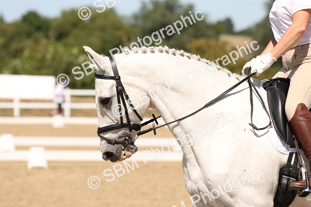 SBM_002987 - Elementary 4