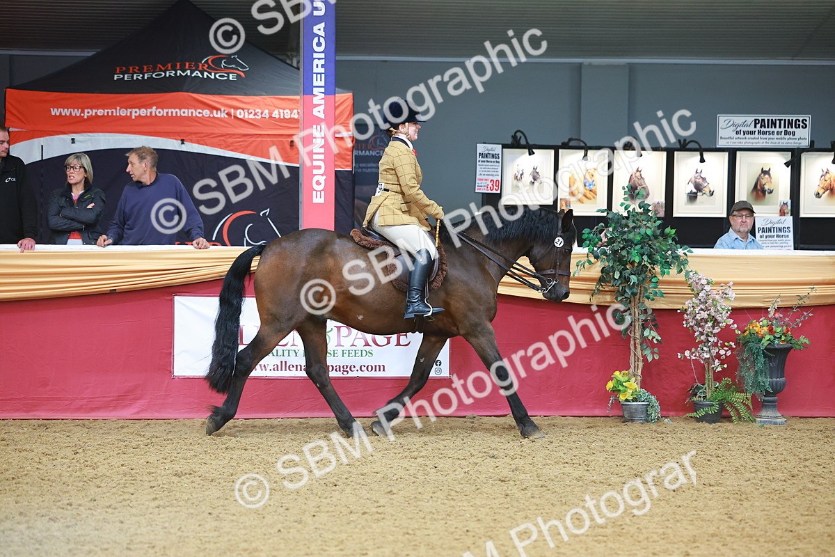 SBM_09608 - Class 102 - HOYS Veteran Qualifier - Ridden Veteran