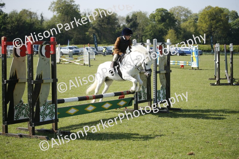 20250427-0431 - Class 12 - Rookie Jumping 40cm