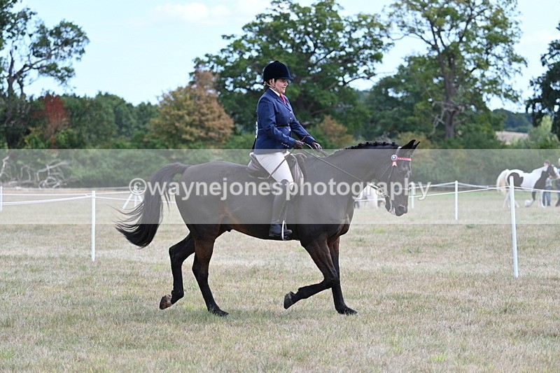 WJ7_5961 - Class 13 Ridden Veterans