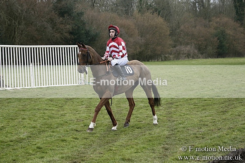 PtP 110318 39 - Hampshire Hunt Point-to-Point Hackwood Park 11/03/18