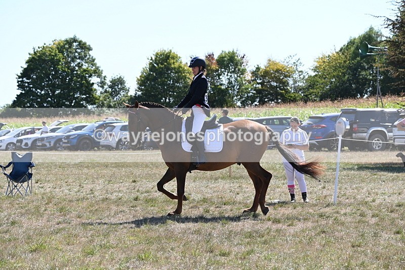WJ6_8849 - Class 38 Ridden Riding Horse/Pony