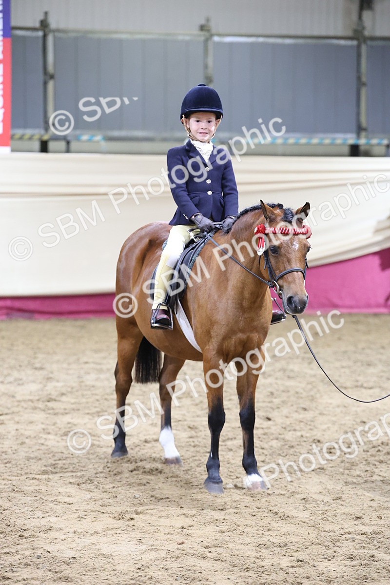 SBM_20379 - Class E - Best Turned Out Champ