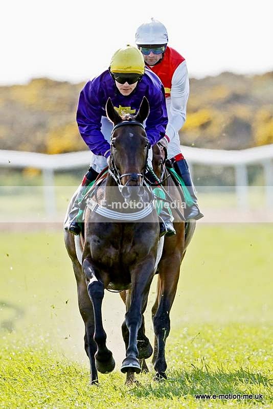  GRD 030510 207 - Guernsey Race Day 03/05/10