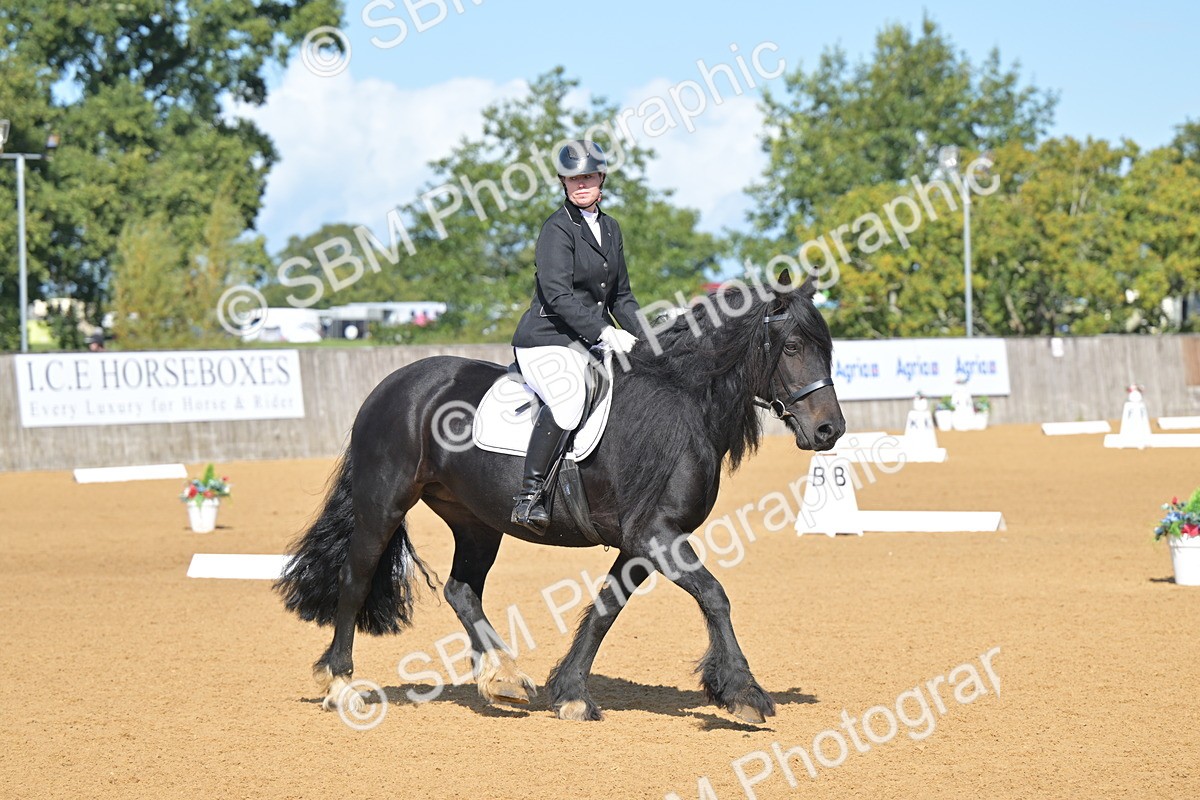 SBM_03958 - D2 - Small Tour Championship Intro 2