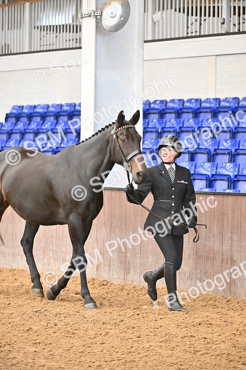 SBM_000070 - Class 4 - BSHA In Hand Show Cob