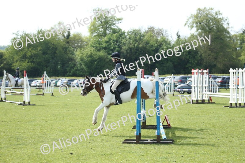 20260426-1553 - Class 14 - Novice 60cm