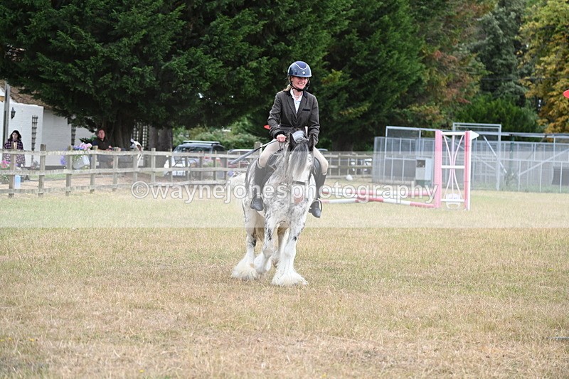 WJ6_9700 - Class 12 Minimus Jumping 45cm