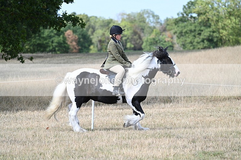 WJ7_7091 - Class 14 Ridden Coloured