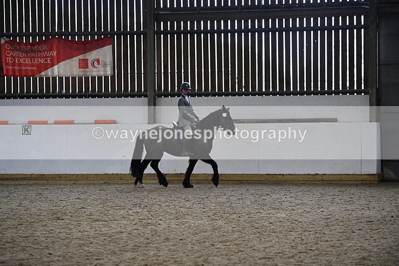 WJ5_7891 - Class 13 Ridden Part Breed