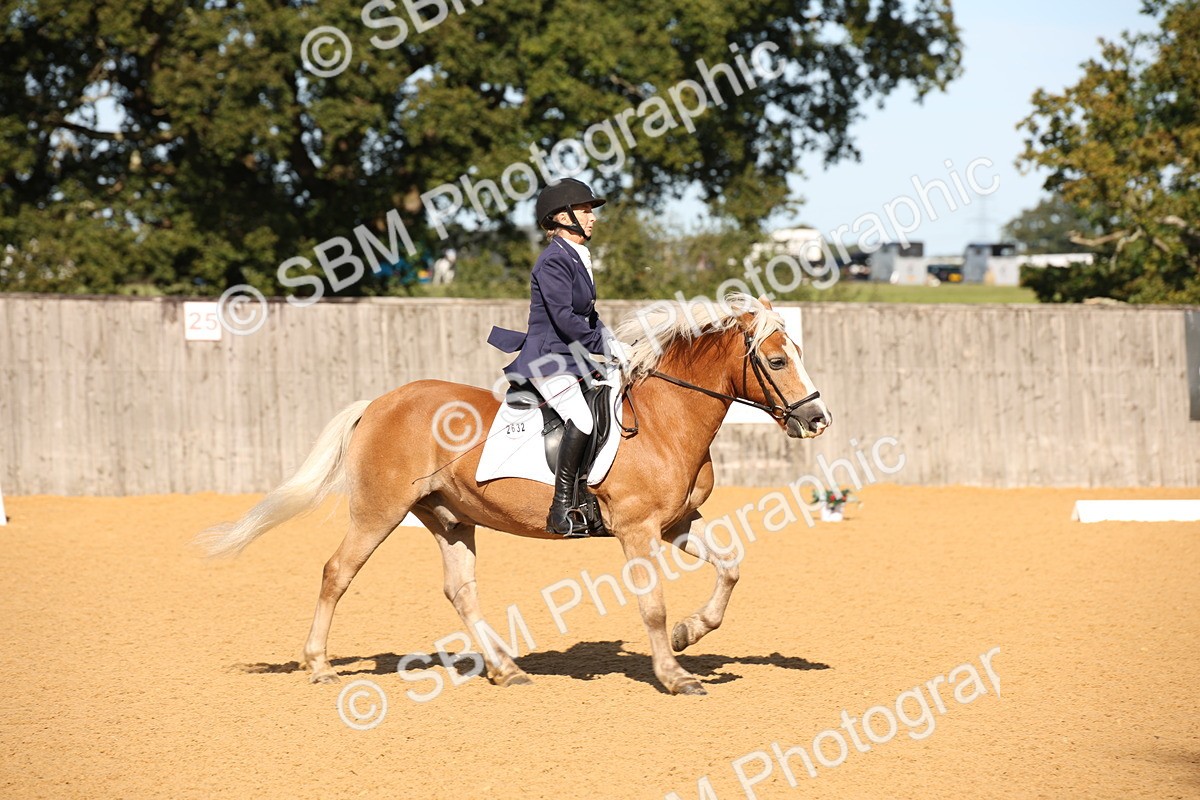 SBM_18386 - D31 - Grand Tour - PYO Open