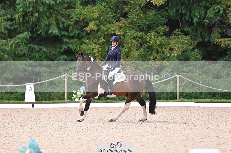 240809-102807-00199 - 112-Caroline.Hutchens-Clogorrow's.Socky